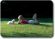 Kids and dog on lawn